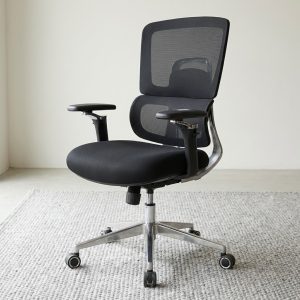 orthopedic ergonomic office chair with 4D armrests
