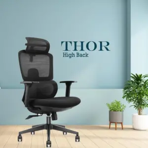 office chair, high-back chair, orthopedic seat, mesh seats, study chairs