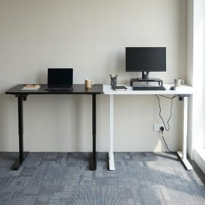 1.2m Height Adjustable Electric Desk for Office and Home Workspace