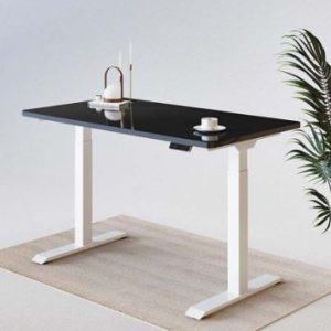 1200mm Electric Standing Desk with height adjustment functionality