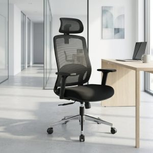 Orthopedic office chair with lumbar support knob and mesh backrest