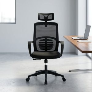 Breathable Mesh Office Chair with lumbar support and padded seat