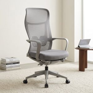 An Orthopedic Executive Mesh Chair with Footrest featuring a grey high-back breathable mesh backrest, contoured loop armrests, and a matching mobile 5-star swivel base.